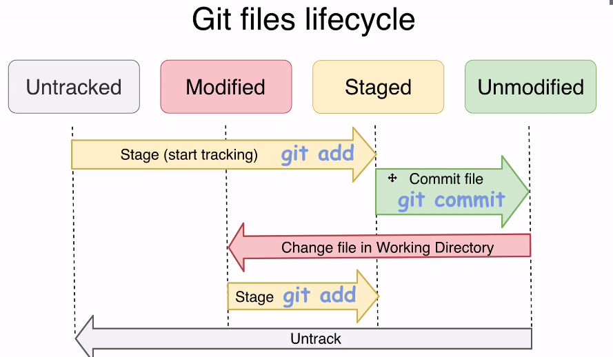 Git files lifecycle