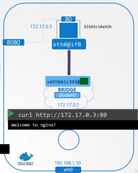 Network Bridge Docker