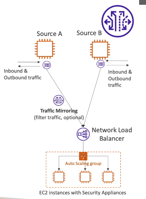 Traffic Mirroring